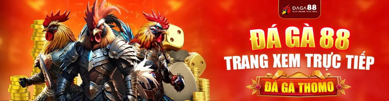 Cá cược trực tiếp KL99 Win